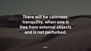 Peace Comes From Not Being Perturbed