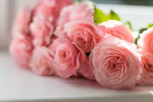 Pink Flowers Aesthetic Roses On Table