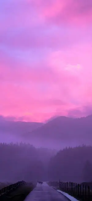 Pink Sunset Road