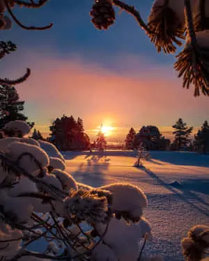Pretty Winter Sunset Picture