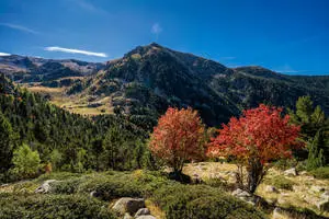 Pyrenees Autumn  Andorra