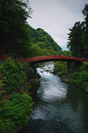 Red Bridge And River View
