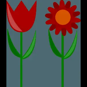 Red Tulipand Sunflower Illustration