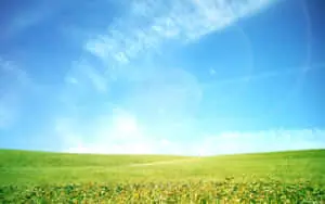 Remote and Beautiful Wilderness Land