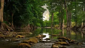 river background