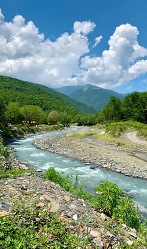 river background