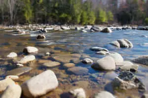 Natural beauty of River