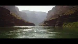 Enjoying the calming beauty of nature
