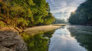 "Beauty abounds along the serene riverbank"