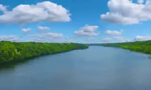 a river with trees and clouds in the sky