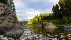 Dissecting the View of a Serene River