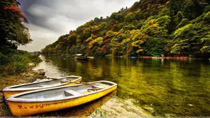 River View With Yellow Green Trees