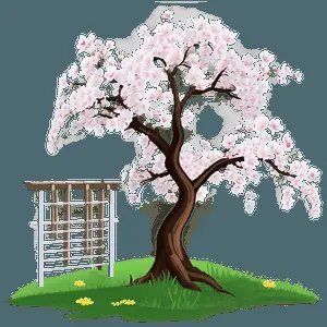 Sakura Tree with Farmhouse Scenery PNG 23