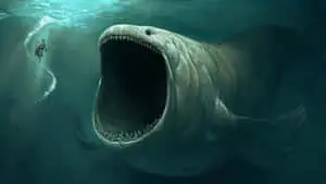 صور حوت وحش عملاق مخيف