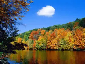 Seasonal Autumn Mountain Lake Trees