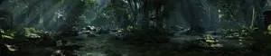 Shallow Forest River Three Screen