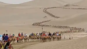 a group of people riding camels down a desert