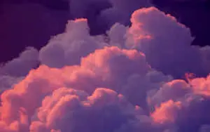 Violet Sky Picture