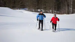 Smiling Couple In Snowshoes