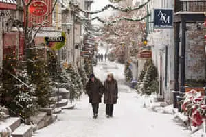 "Watching the winter wonderland". 