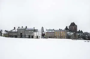 Beautiful Winter Scene