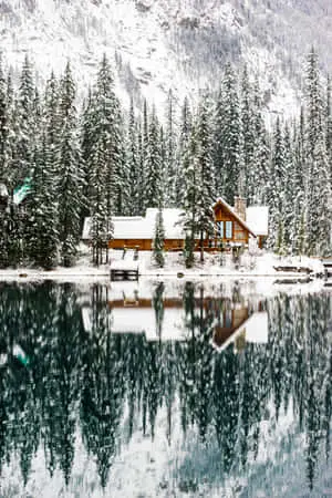 "A magical winter night"