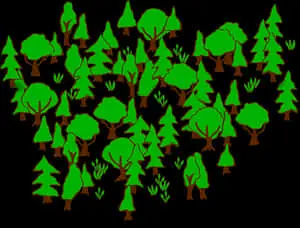 Stylized Forest Illustration