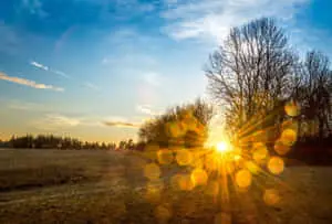 Sunshine Camera Flare pictures