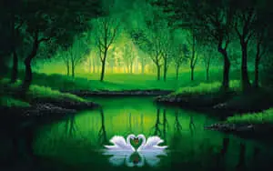 Swan Loves Pond
