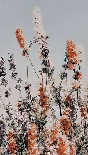 Tall Flowers Boho iPhone