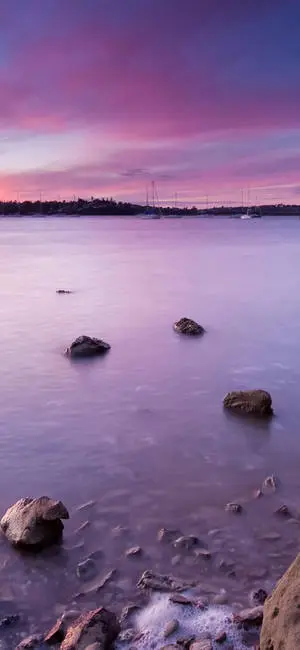 شاطئ البحر سامسونج M31