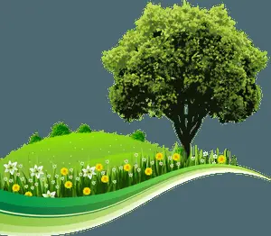 Verdant Hillside Floral Bliss