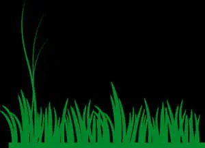 Vibrant Green Grass Silhouette