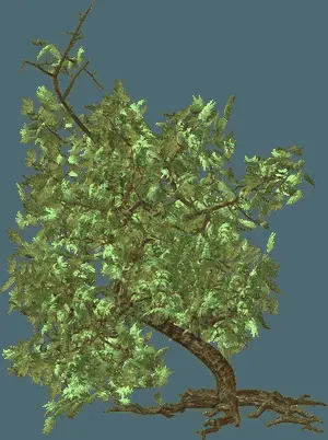 Vibrant Green Tree Graphic