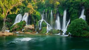 A hidden paradise - a tropical green jungle with a stunning waterfall.