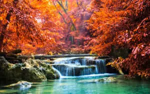 natural beauty of a tropical waterfall 