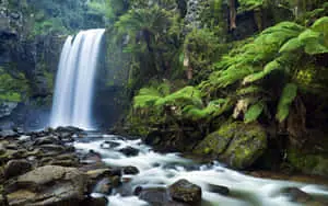 Waterfall pictures
