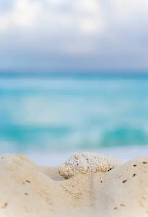 Enjoy Beach Life to the Fullest