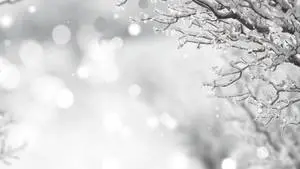 عيد الميلاد الأبيض في الشتاء