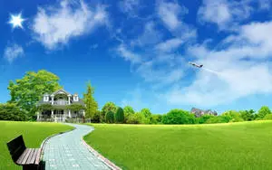 White House Nature