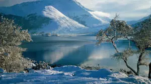 Winter Scene Calm Landscape