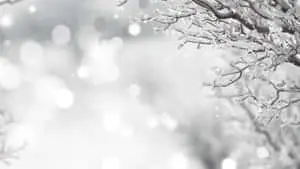 Black And White Winter Wonderland Desktop