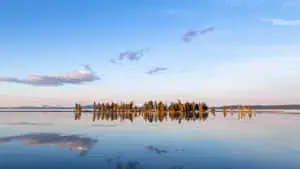 Yellowstone Small Island Between The Lake Background 